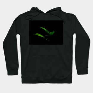 Bright green palm frond caught in sun against black background Hoodie